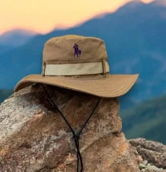 Safari polo beige